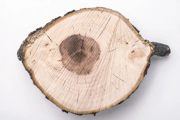 Mycket Detaljerade Apple Tree Träsnitt Isolerad Vit — Stockfoto