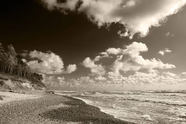 Dramática Paisagem Monocromática Costa Mar Báltico Lituânia — Fotografia de Stock