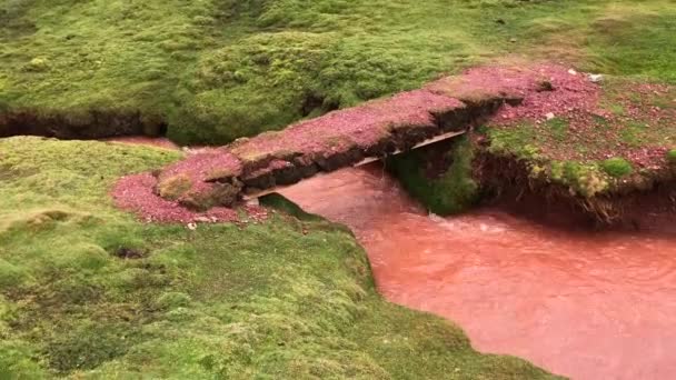 Arroyo de agua roja — Vídeos de Stock