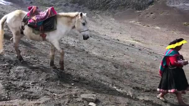 Мул знижується — стокове відео