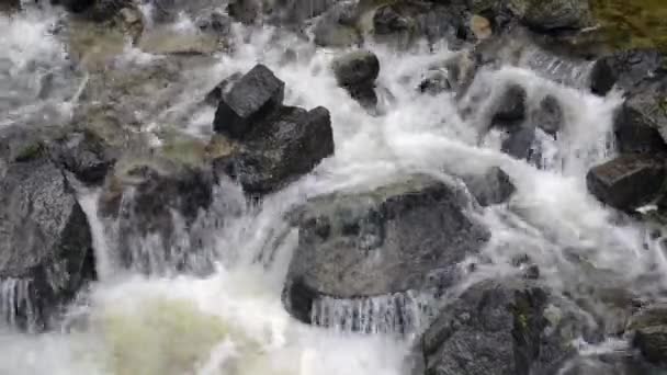 Berg rivier cascades — Stockvideo