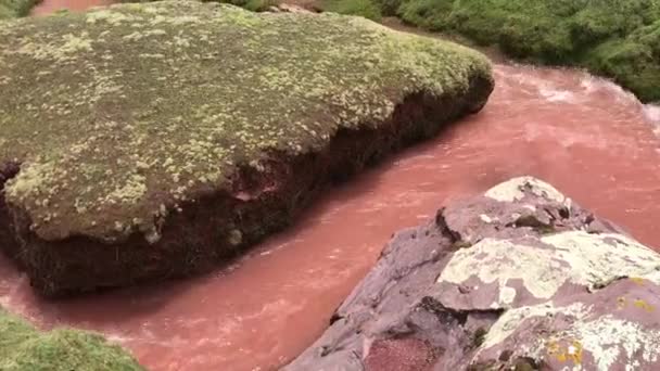 Aguas rojas del río — Vídeo de stock