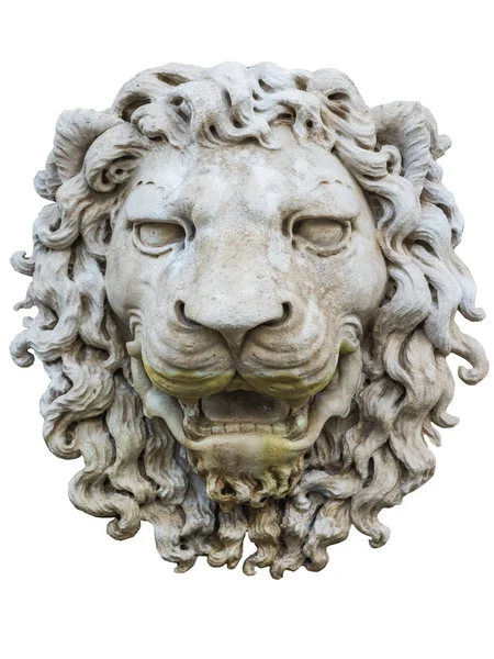 Ancient Lion Relief Isolated White Venice Italy — Stock Photo, Image