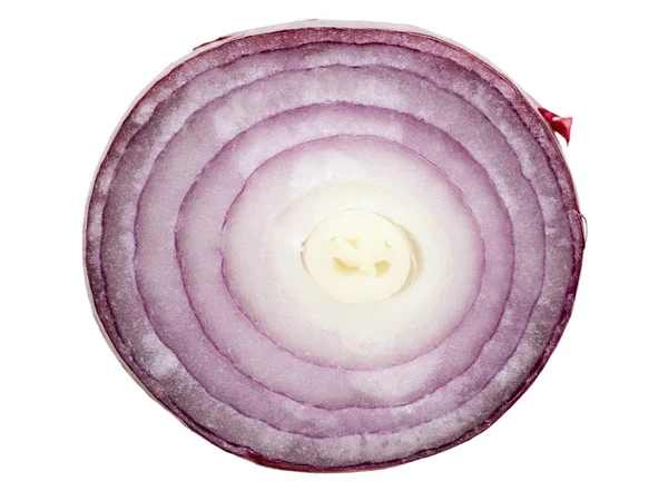 Juicy Red Onion Detailed Slice — Stock Photo, Image