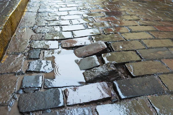 Damaged pavement puddle — Stock Photo, Image