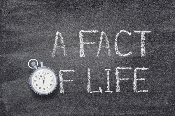 A fact of life watch — Stock Photo, Image