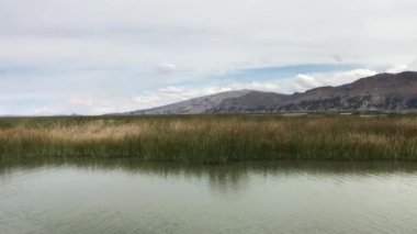 Titicaca sularında hareketli