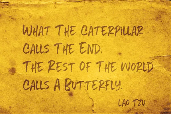 Appelle un papillon Lao Tzu — Photo
