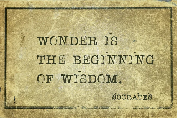 Wonder is Socrates — 스톡 사진