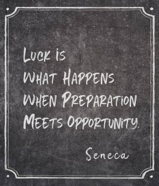 fırsat Seneca alıntı karşılar