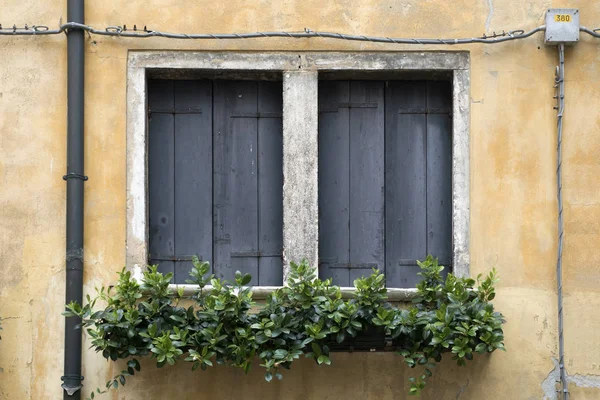 Duas janelas fechadas — Fotografia de Stock