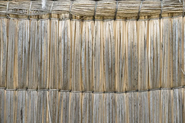 Reed wall structure — Stock Photo, Image