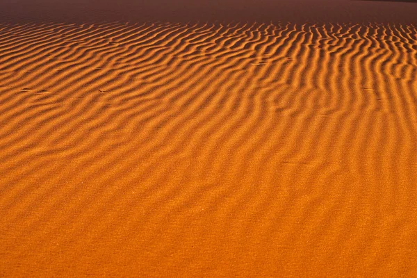 Muster Roter Sandwellen Der Wüste Namibias — Stockfoto