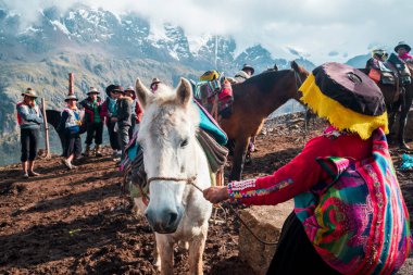 VINICUNCA, PERU - 29 Ekim 2018: Geleneksel giyimde kadın rehber Vinicunca, Peru 'da yüksek irtifada beyaz katır tutuyor