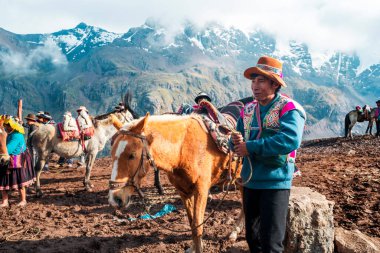 29 Ekim 2018 'de Peru' nun Vinicunca kentindeki yüksek irtifada geleneksel giyimde dağ rehberi kırmızı katır tutuyor.