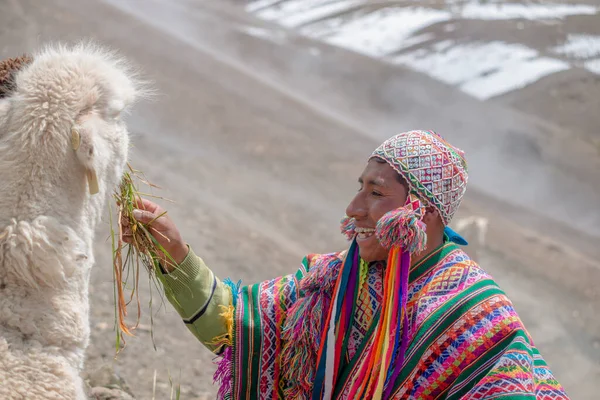 Vinicunca Peru October Mountain Guide Traditional Wear Feeds His Alpaca — Stock Photo, Image