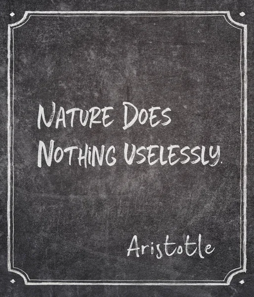 Natura Non Nulla Inutilmente Antico Filosofo Greco Aristotele Citazione Scritta — Foto Stock