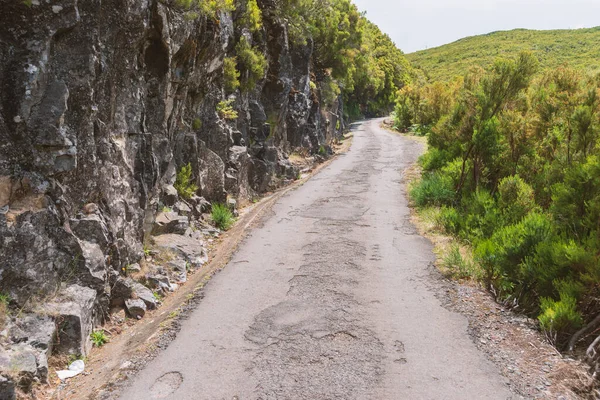 Stará Cesta Horském Lese Ostrově Madeira Dne — Stock fotografie