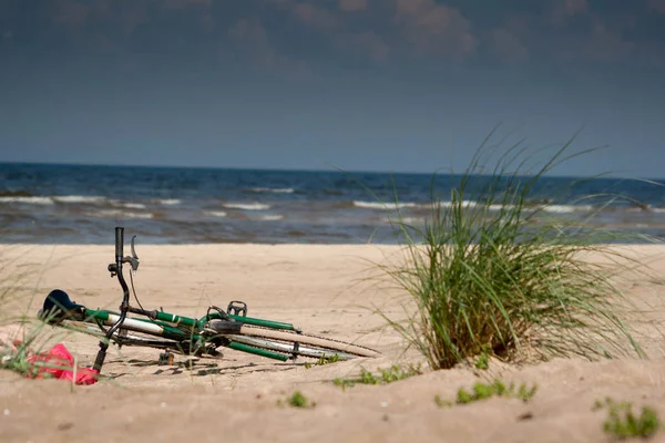 绿色植物自行车铺设在海滨沙滩上 背景为海 — 图库照片
