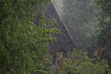 şiddetli yağmur, yağmur fırtınası, yağmur yağmaya ağaçlar ve görünür evin çatı