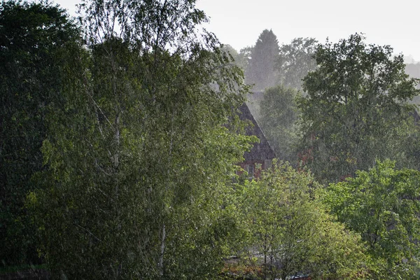 倾盆大雨 雨水落在树上和可见的屋顶 — 图库照片