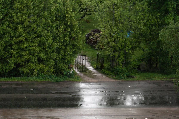 Асфальтована Вулиця Вхідна Доріжка Металевими Воротами Двір Сильний Дощовий Літній — стокове фото