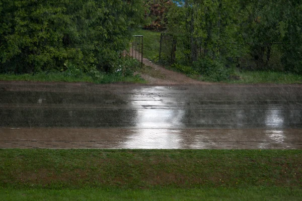 緑の茂みと強い雨の夏の日に中庭に金属ゲート アスファルト ストリートと入り口の道 — ストック写真