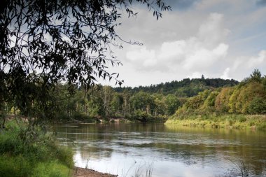 yaz günü mavi gökyüzü ve bulutlar ormanında geniş hala Nehri üzerinde yan görünüm