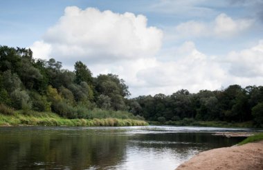 yaz gün yan görünümü ördekler kum üzerinde dinlenme ile orman geniş hala Nehri üzerinde