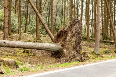 Nach dem Sturm