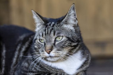 # Wuhl beobachtet miydi? #