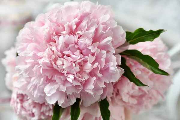 ピンク色で美しい新鮮な牡丹の花の束のクローズ アップ — ストック写真