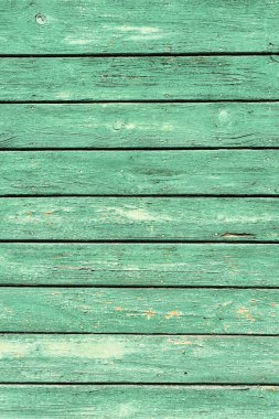 eski püskü boya plakalar ile eski yeşil ahşap arka plan