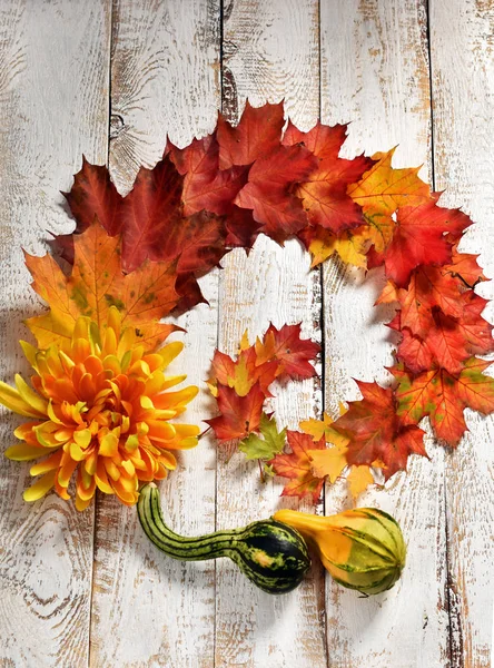 Herfst Plat Leggen Met Kleurrijke Esdoorn Bladeren Bloem Kalebassen Gerangschikt — Stockfoto