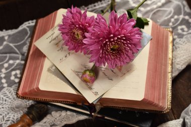 Sonbahar ruh vintage tarzı düz lay fotoğraf açık kitap ve kasımpatı çiçekleri 