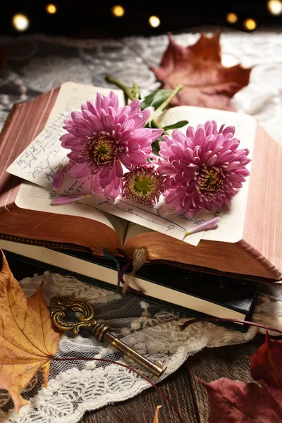 Sonbahar Ruh Vintage Tarzı Natürmort Açılan Kitap Kasımpatı Çiçekleri Ile — Stok fotoğraf