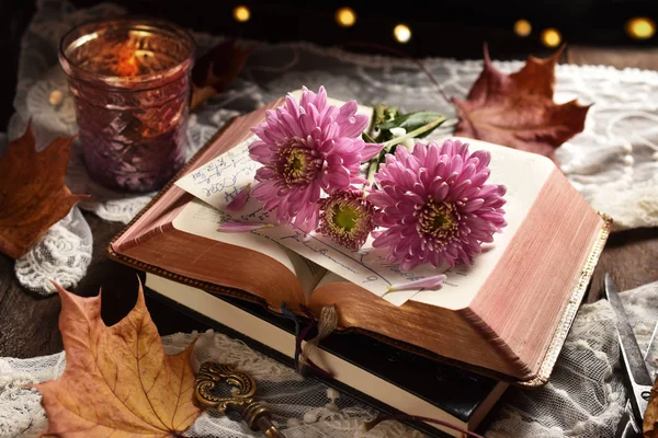 Sonbahar Ruh Vintage Tarzı Natürmort Açılan Kitap Kasımpatı Çiçekleri Ile — Stok fotoğraf