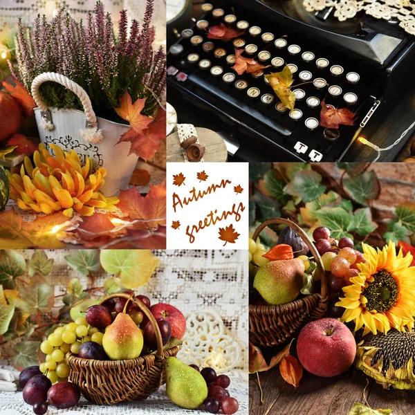Herbst Collage Vintage Stil Mit Früchten Blättern Blumen Und Alter — Stockfoto