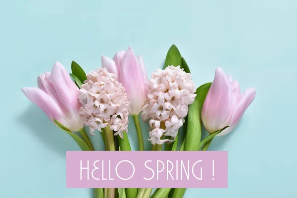 Kilka Wiosna Hiacynty Tulipany Tle Mięty Tekstem Hello Wiosna — Zdjęcie stockowe
