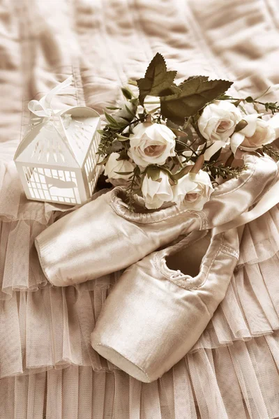 Ballett-Spitzenschuhe liegen auf Tüll-Kleid in Sepia — Stockfoto