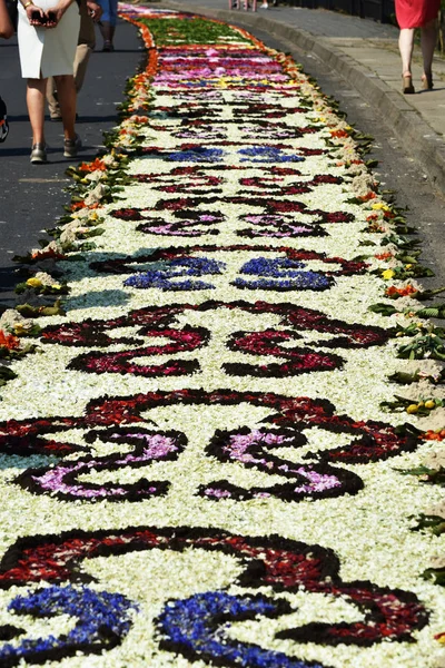 Tradiční květinové koberce ve Spycimierz v Corpus Christi Day — Stock fotografie