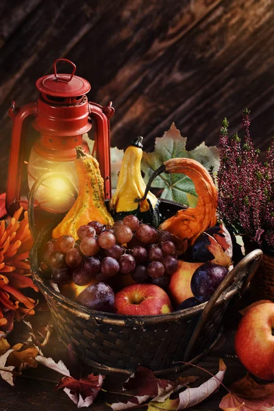 Autumn decoration with basket of fruits and gourds — Stock Photo, Image