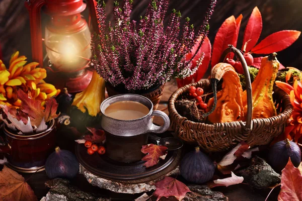 Decorazione autunnale e tazza di caffè — Foto Stock