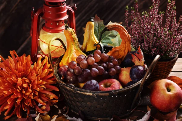 Autumn decoration with basket of fruits and gourds — Stock Photo, Image