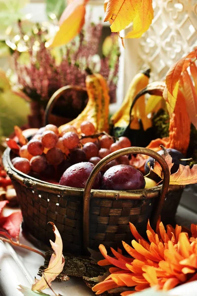 Decoración de otoño con cesta de frutas y calabazas — Foto de Stock