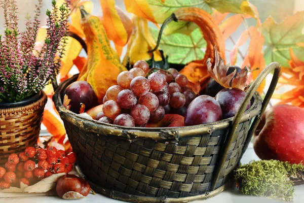 Höst dekoration med korg av frukter och kalebasser — Stockfoto