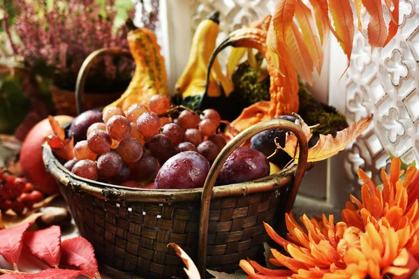 Décoration d'automne avec panier de fruits et de gourdes — Photo