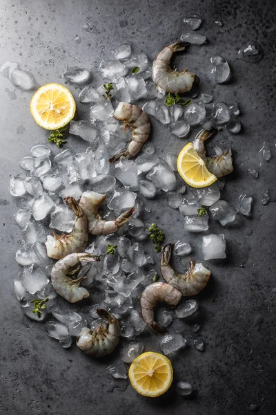 Camarones Tigre Grandes Con Hielo Hierbas Limón Sobre Fondo Gris —  Fotos de Stock