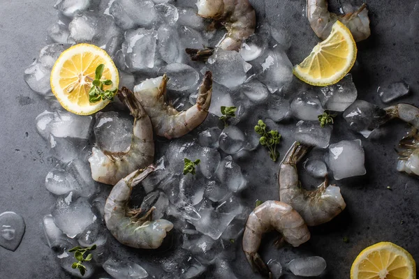 Camarones Tigre Grandes Con Hielo Hierbas Limón Sobre Fondo Gris —  Fotos de Stock