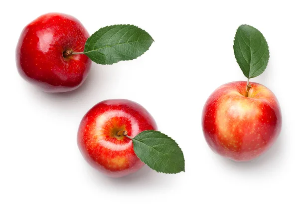 Rode Appels Met Bladeren Geïsoleerd Een Witte Achtergrond Gala Apple — Stockfoto